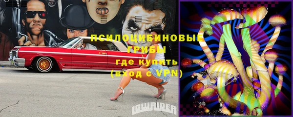 тгк Балахна