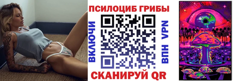 где продают наркотики  Лениногорск  Галлюциногенные грибы Magic Shrooms 